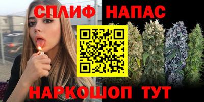гашик Будённовск