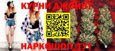 гашик Будённовск