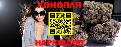 гашик Будённовск