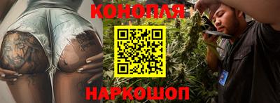 гашик Будённовск