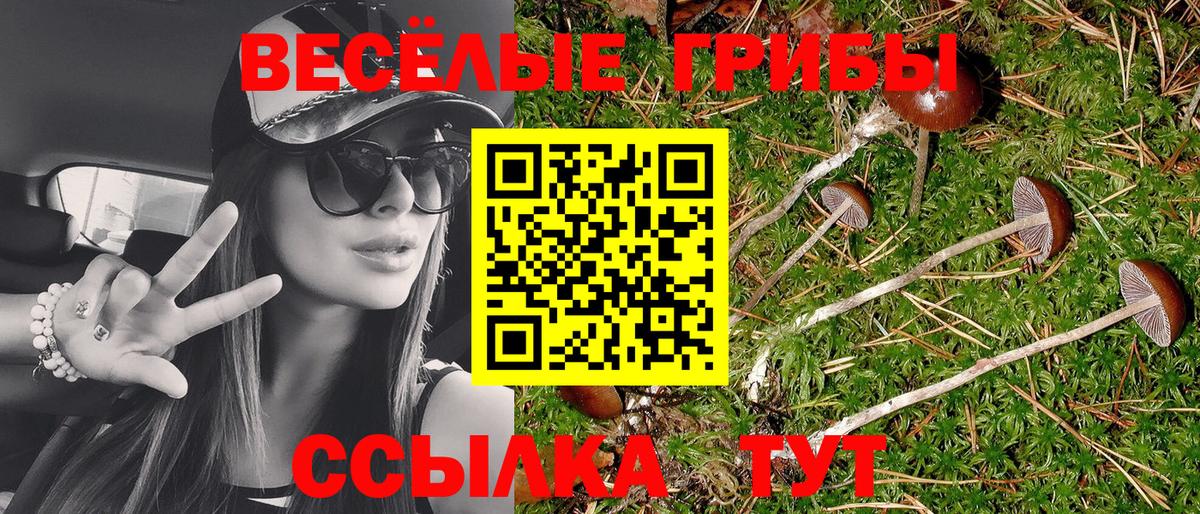 Псилоцибиновые грибы Cubensis Ухта
