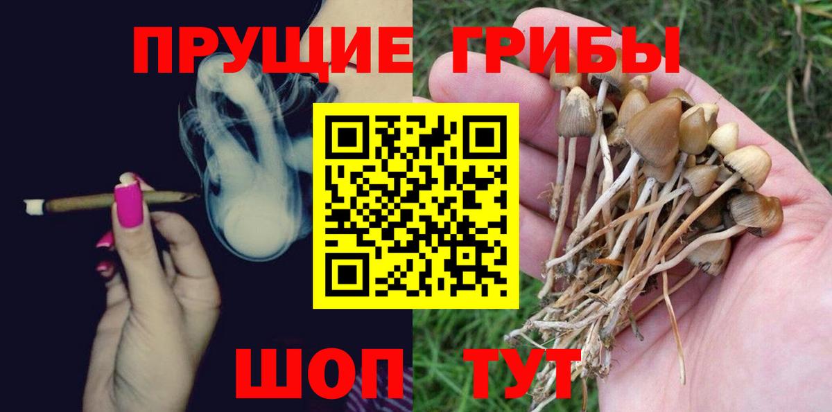 Ухта  Галлюциногенные грибы Cubensis  Вход с VPN 